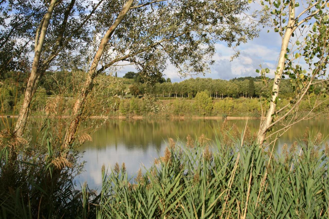 Agriturismo Il Selvino Terricciola Eksteriør bilde